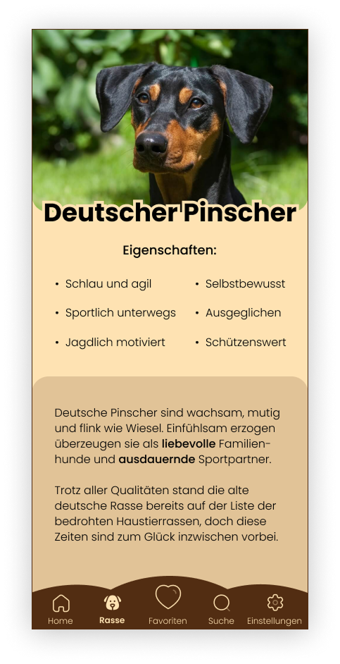 Pawfect Match — Hunderasse-Detailanzeige Deutscher Pinscher