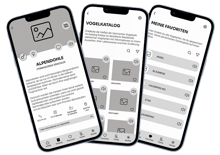 Vogel Oase — drei iPhone-Mockups der App